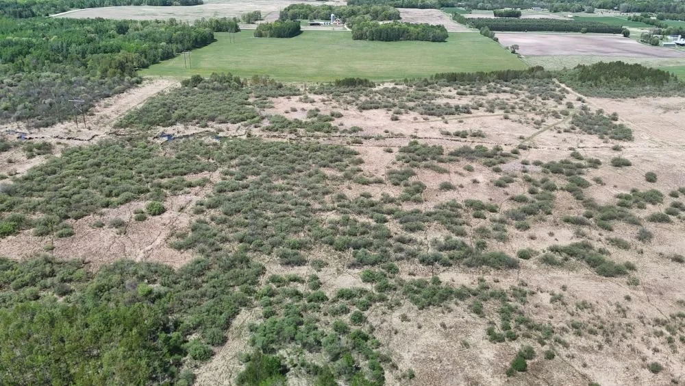 DJI_20260528121248_0109_D.JPG