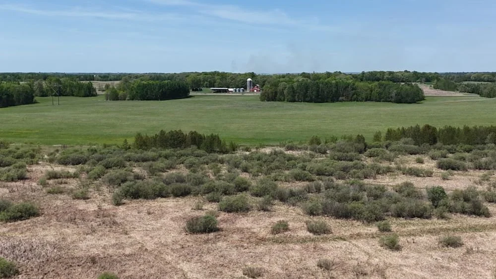 DJI_20260528121355_0111_D.JPG