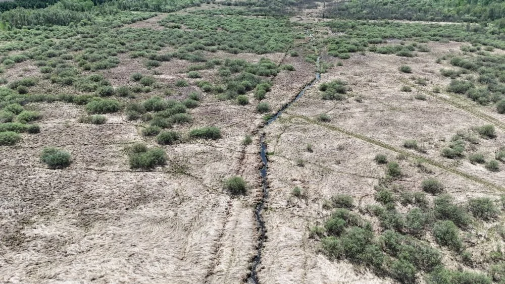 DJI_20260528121448_0114_D.JPG