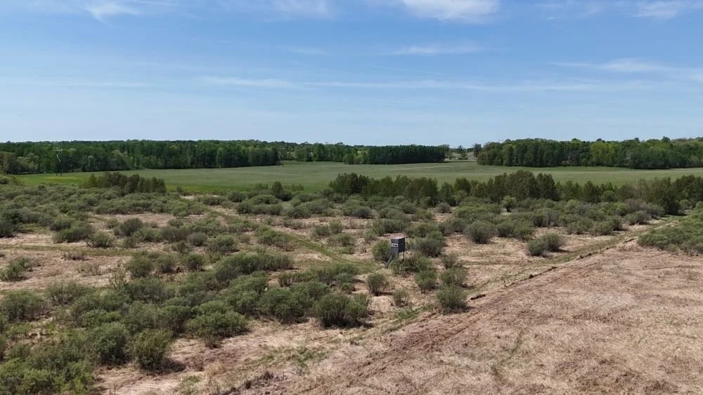DJI_20260528121513_0116_D.JPG