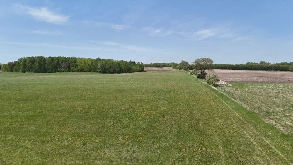 DJI_20260528121555_0117_D.JPG