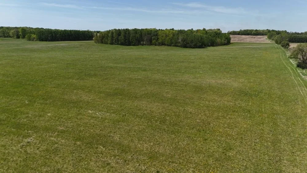 DJI_20260528121621_0120_D.JPG