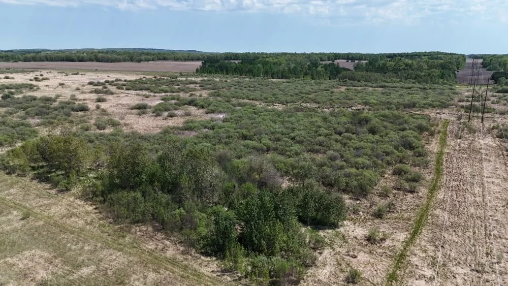 DJI_20260528121707_0122_D.JPG