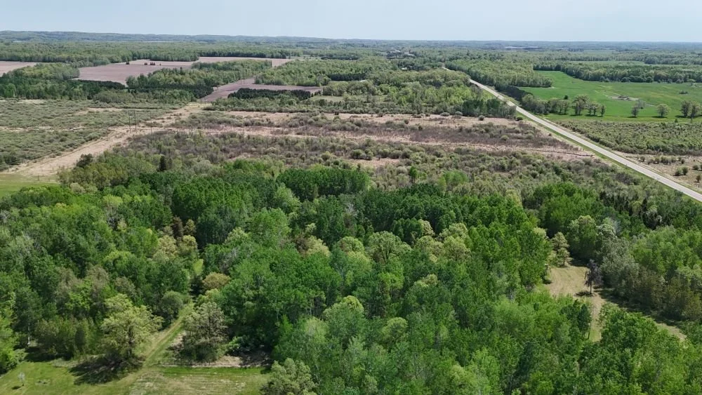 DJI_20260528122137_0139_D.JPG