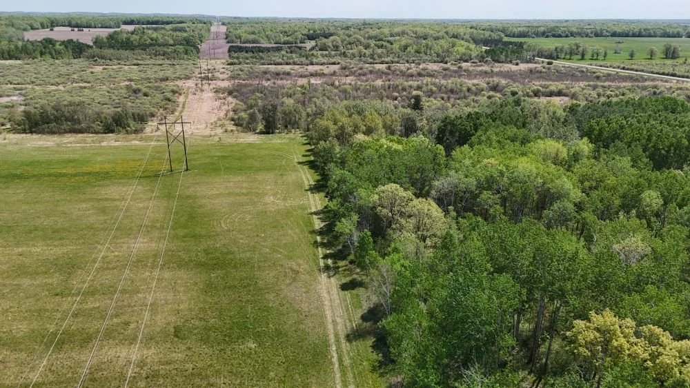 DJI_20260528123033_0150_D.JPG