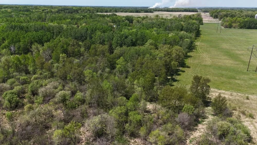 DJI_20260528123204_0153_D.JPG