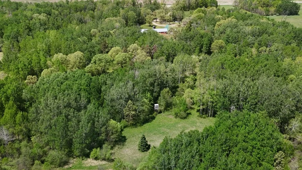 DJI_20260528123303_0157_D.JPG