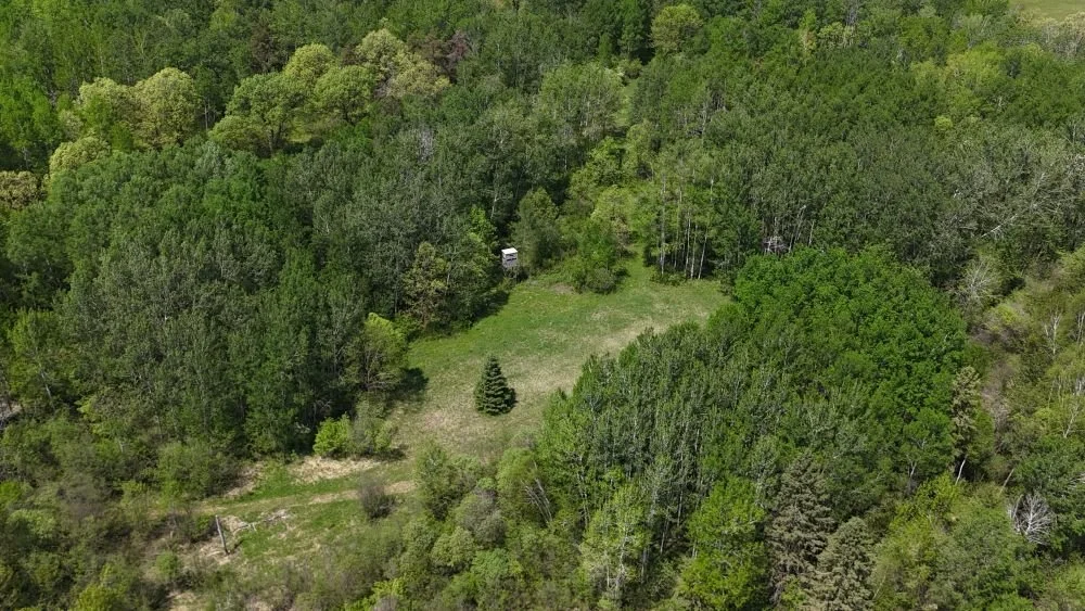 DJI_20260528123310_0158_D.JPG