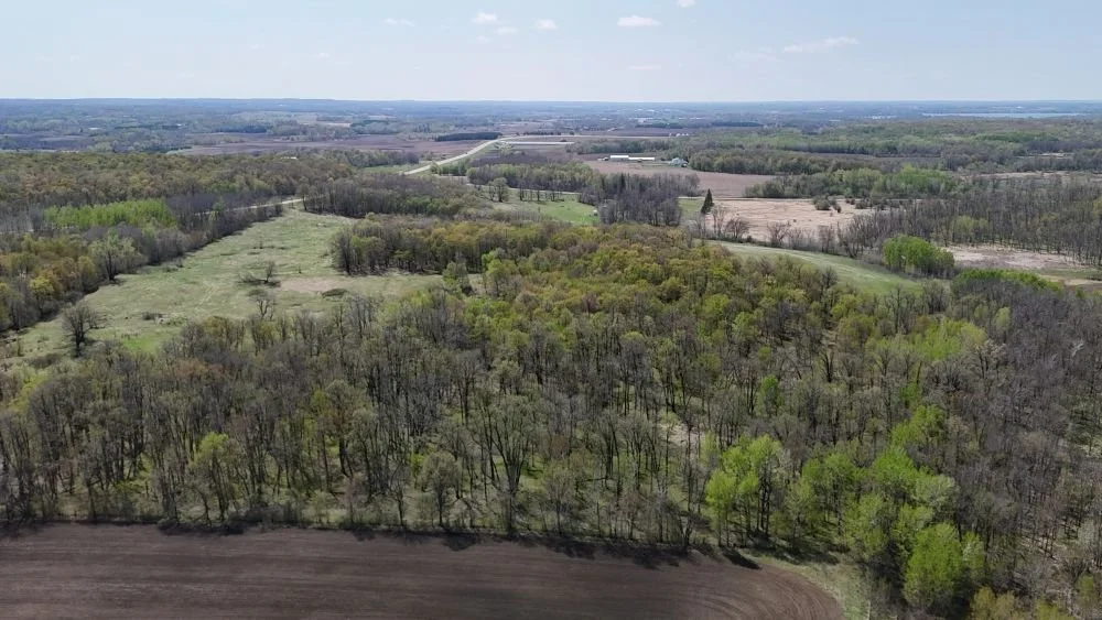 DJI_20260520120808_0001_D.JPG