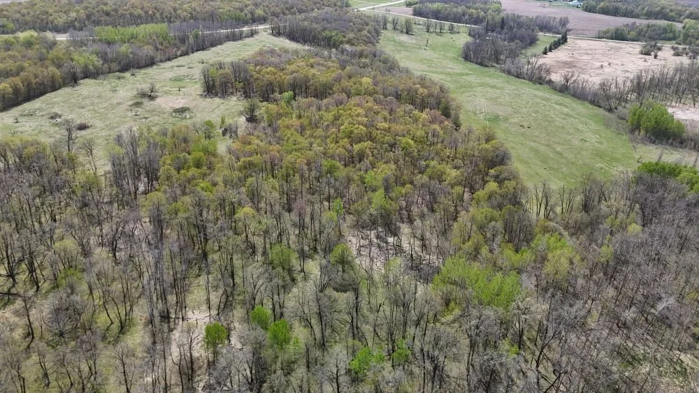DJI_20260520121358_0014_D.JPG