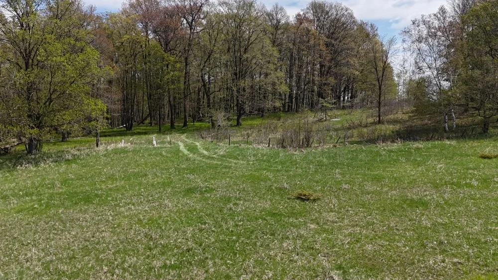 DJI_20260520121640_0018_D.JPG
