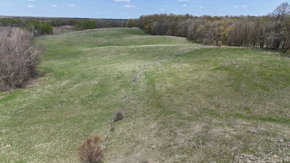 DJI_20260520122443_0036_D.JPG