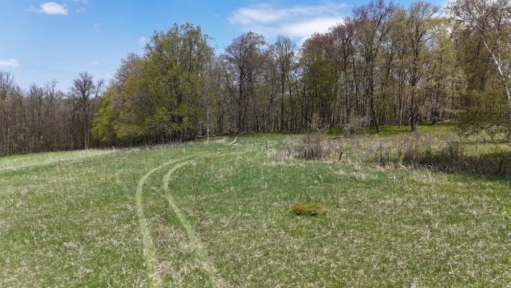 DJI_20260520123050_0049_D.JPG