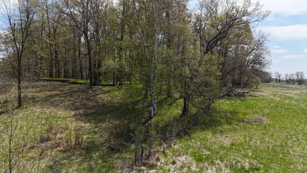 DJI_20260520123115_0050_D.JPG