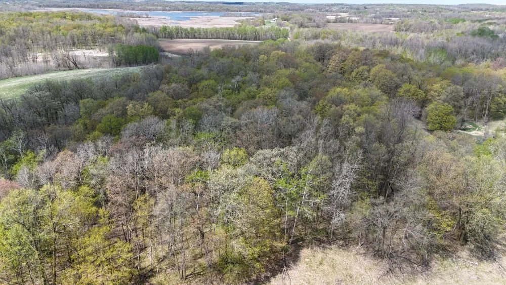 DJI_20260520124011_0067_D.JPG