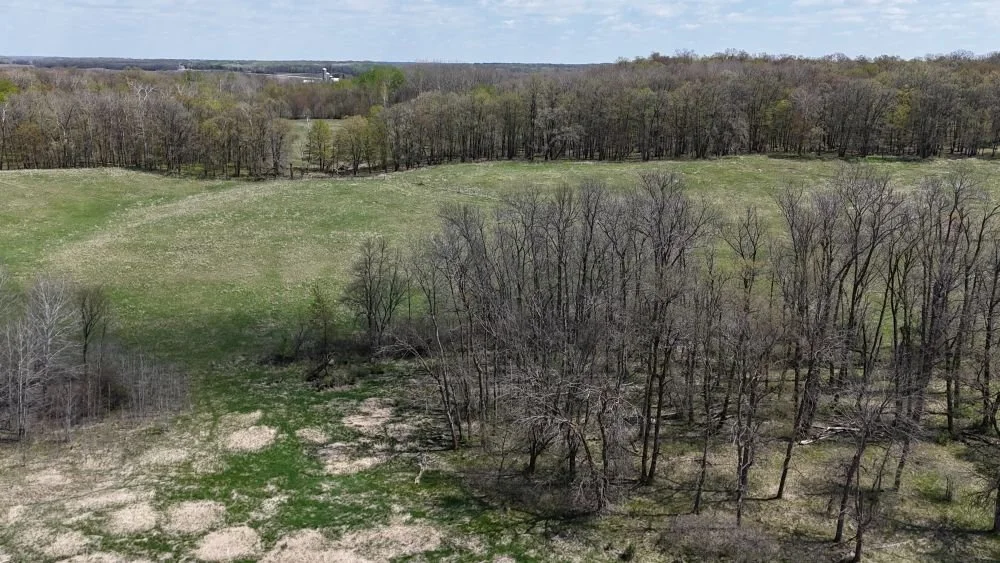 DJI_20260520124551_0077_D.JPG