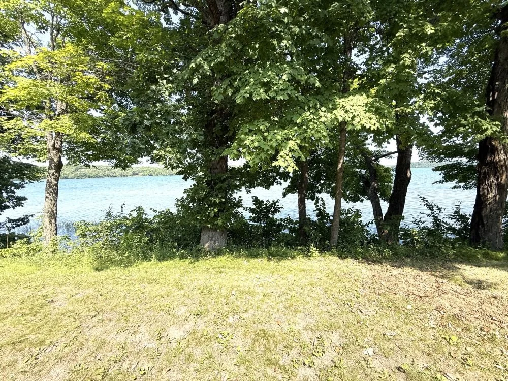 IMG_0342.JPG