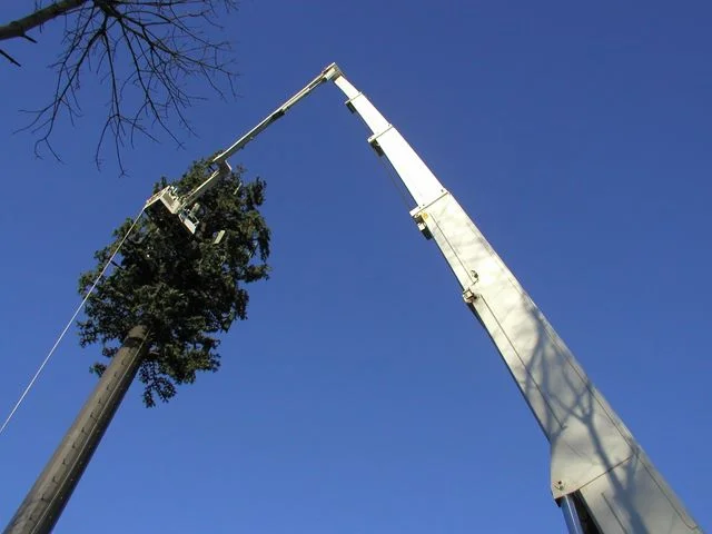 158' Bronto