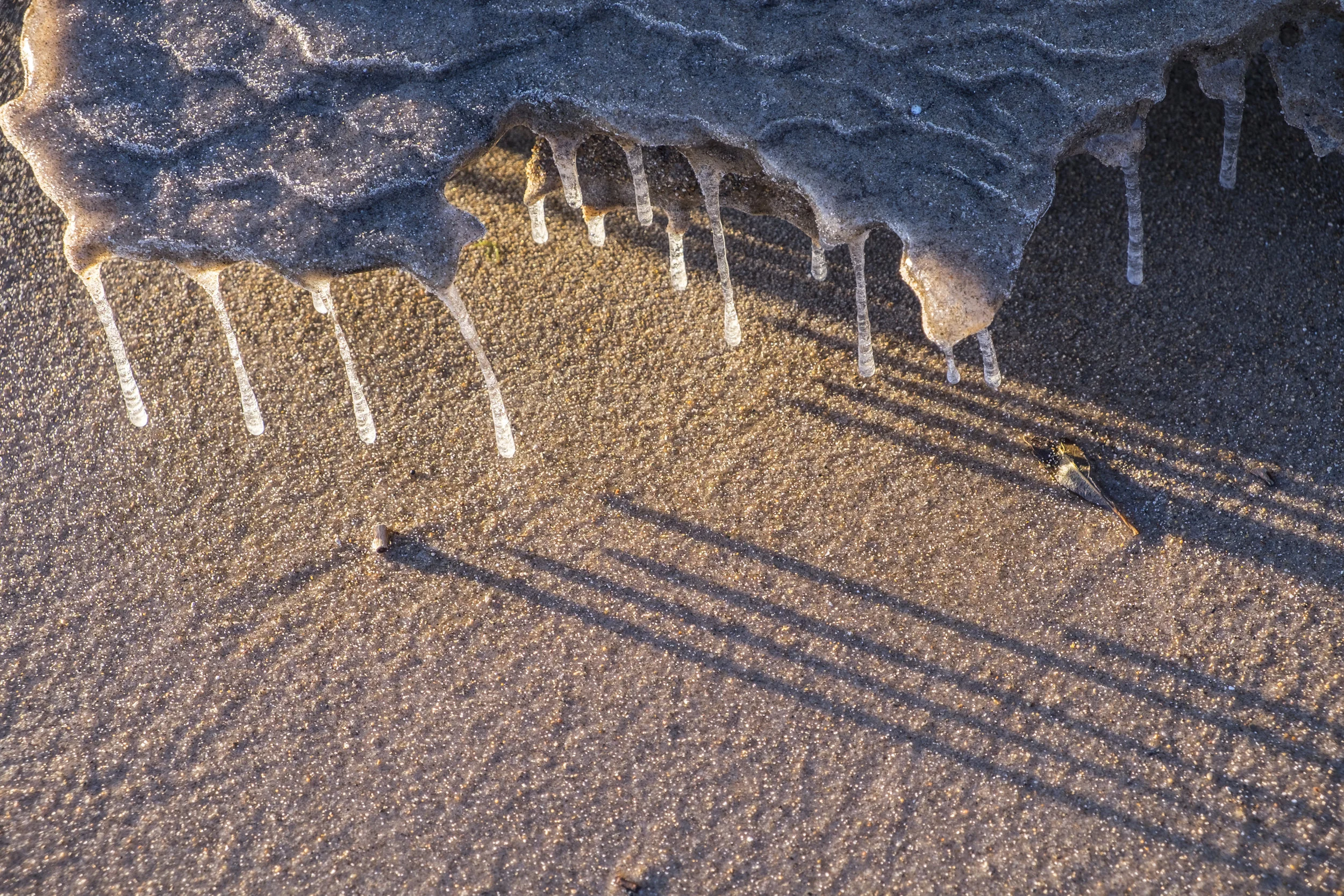 Sue, Alan Ice (1).jpg
