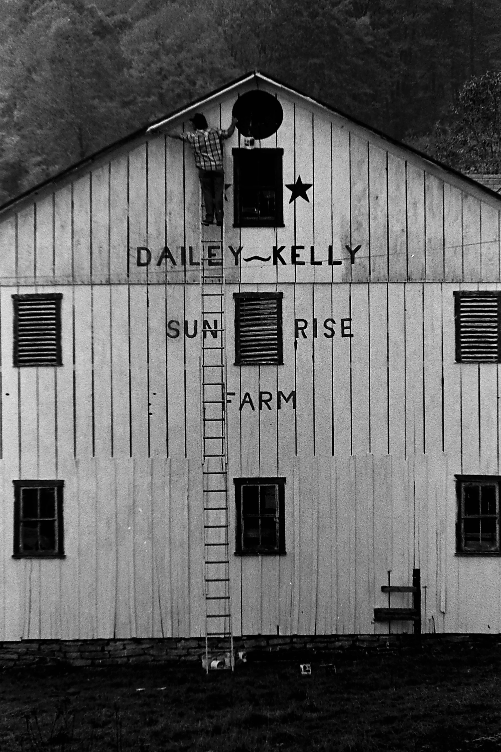 Abrams Nancy Various  (2).JPG