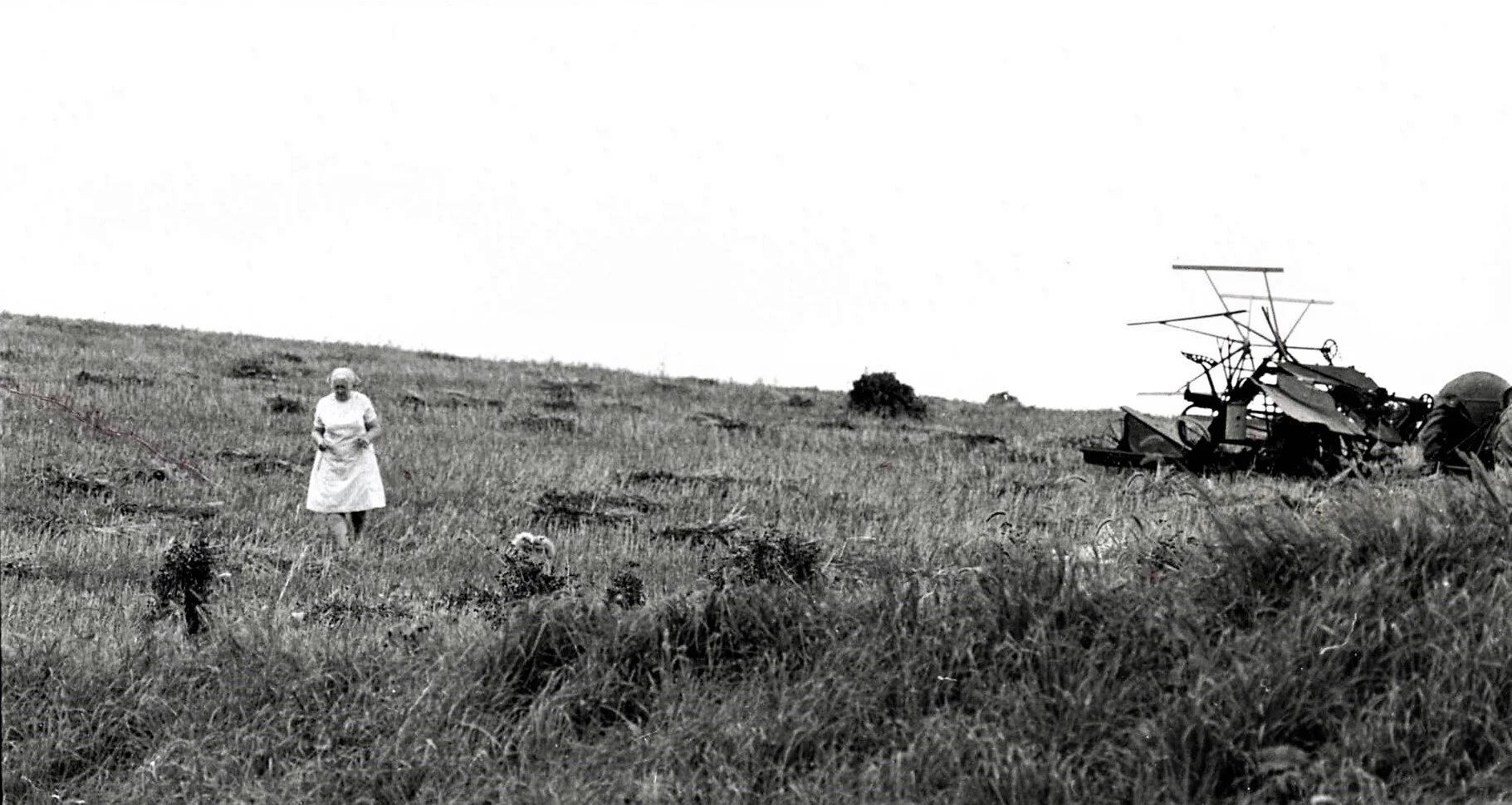 Abrams Jessie Calvert Field.JPG