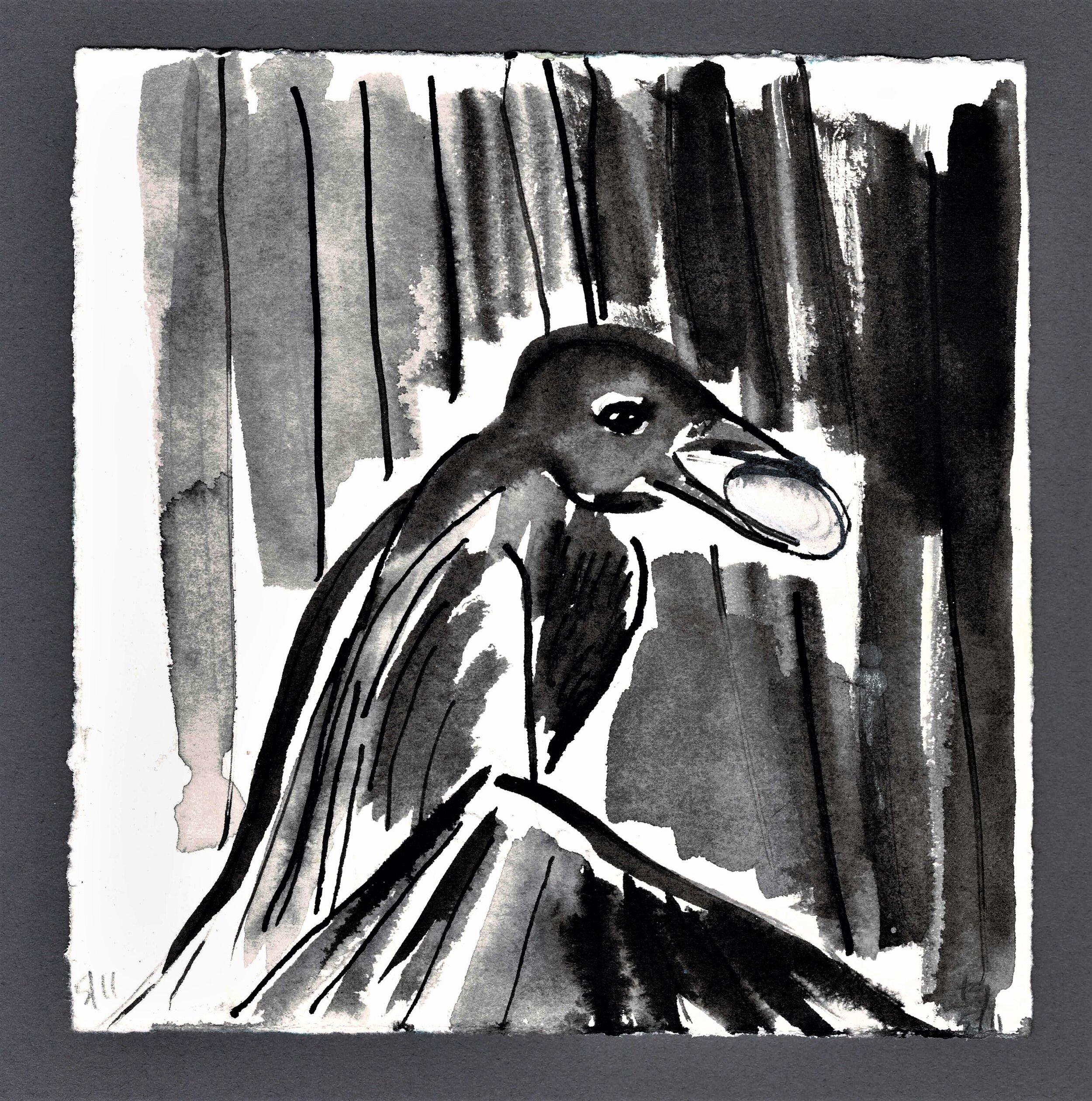 Witnessed - crow and egg