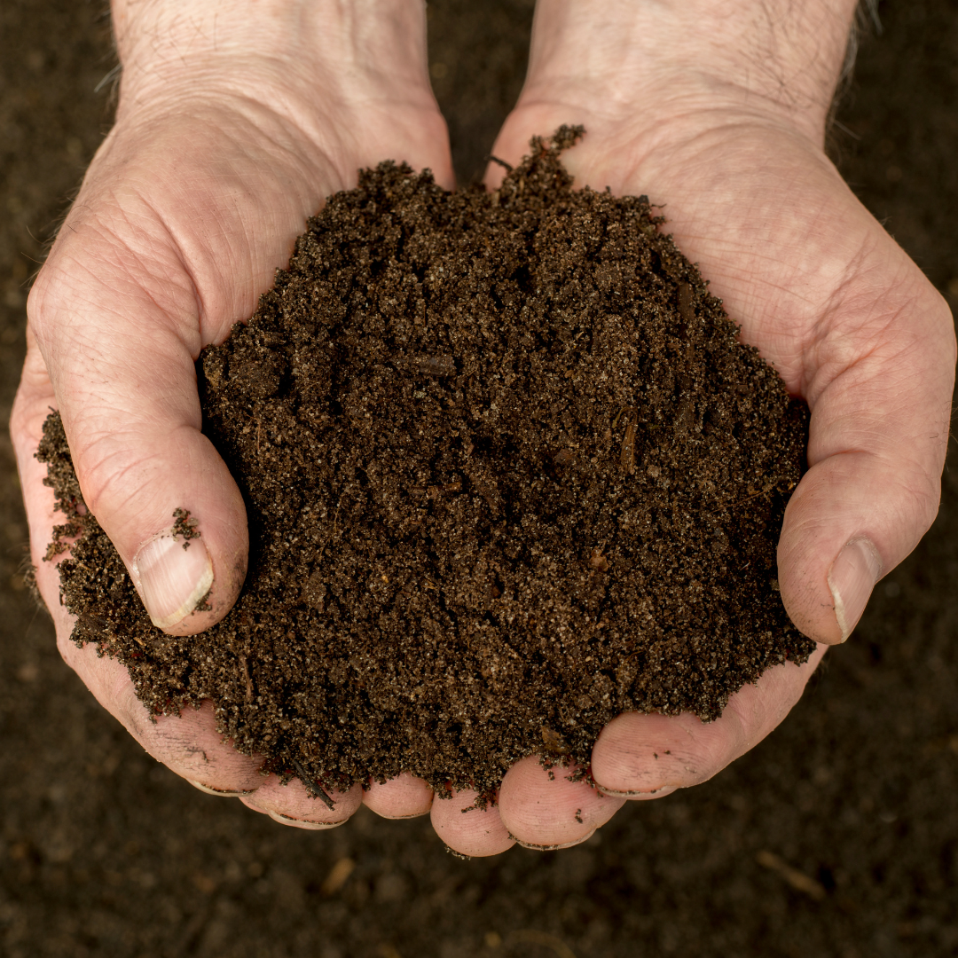 From Fall Cleanup to Spring Blooms: The Art of Composting with Precision Property Pros