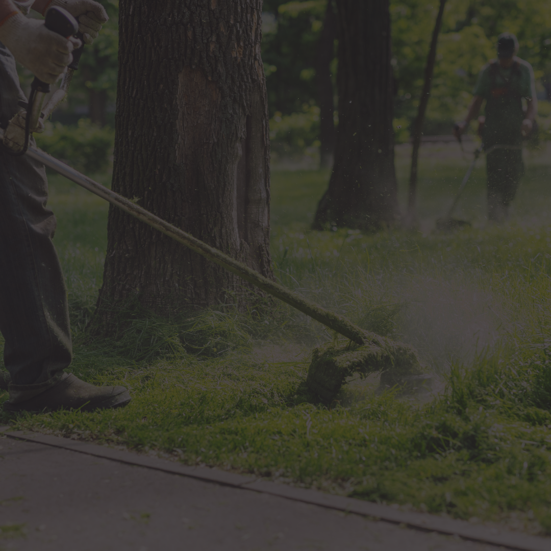 Spring Clean Up Services in Plainfield, IL