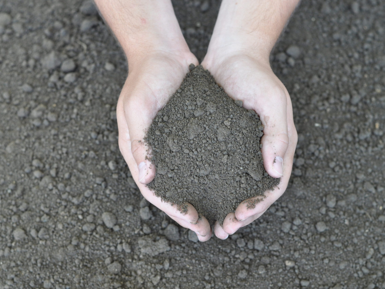 Quality bulk soil held in two hands