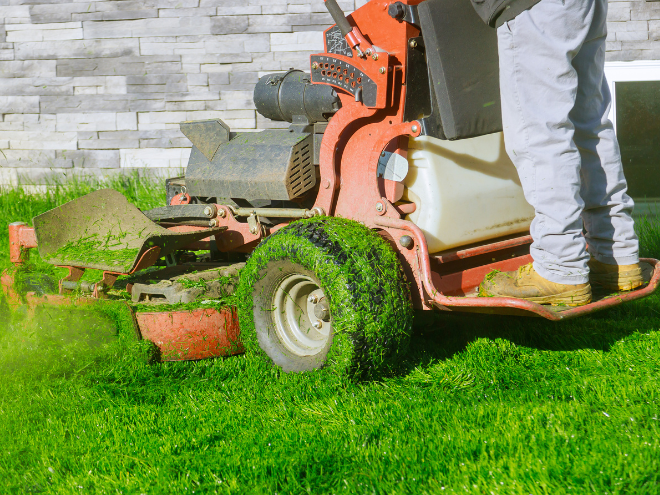 A professionally maintained lawn with crisp mowing lines and manicured landscape beds