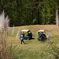 MFM Golfers and Golf Carts.jpg
