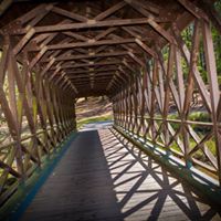 MFM Stone Mountain Bridge.jpg