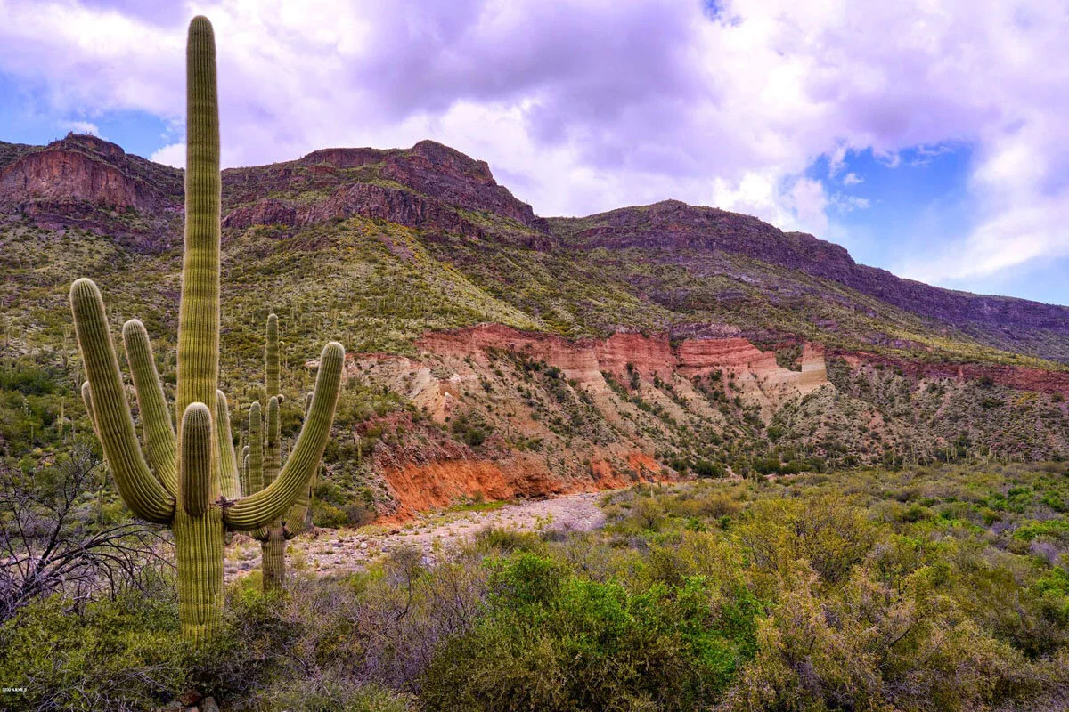National Park