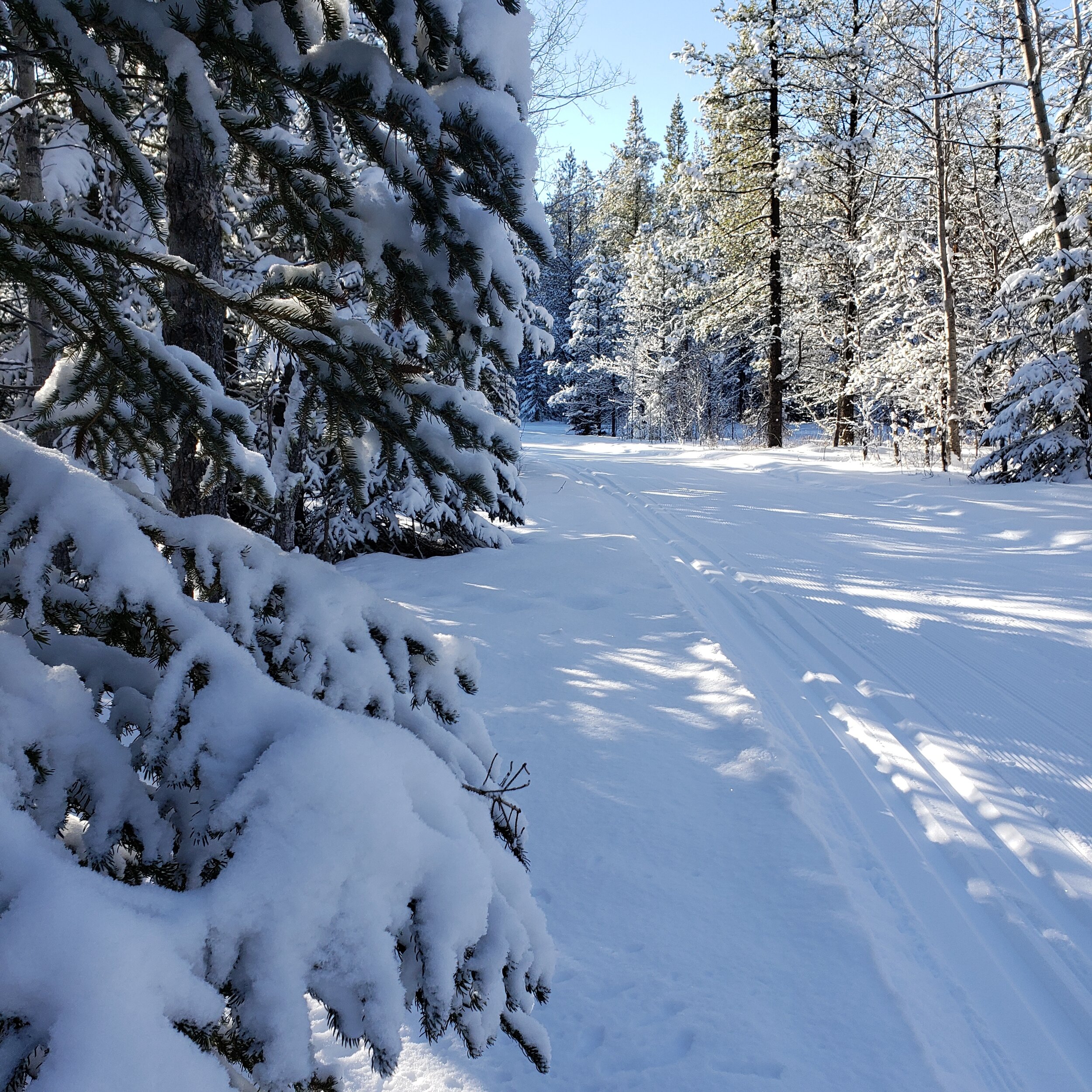 Bragg Creek Ski Trail.jpg