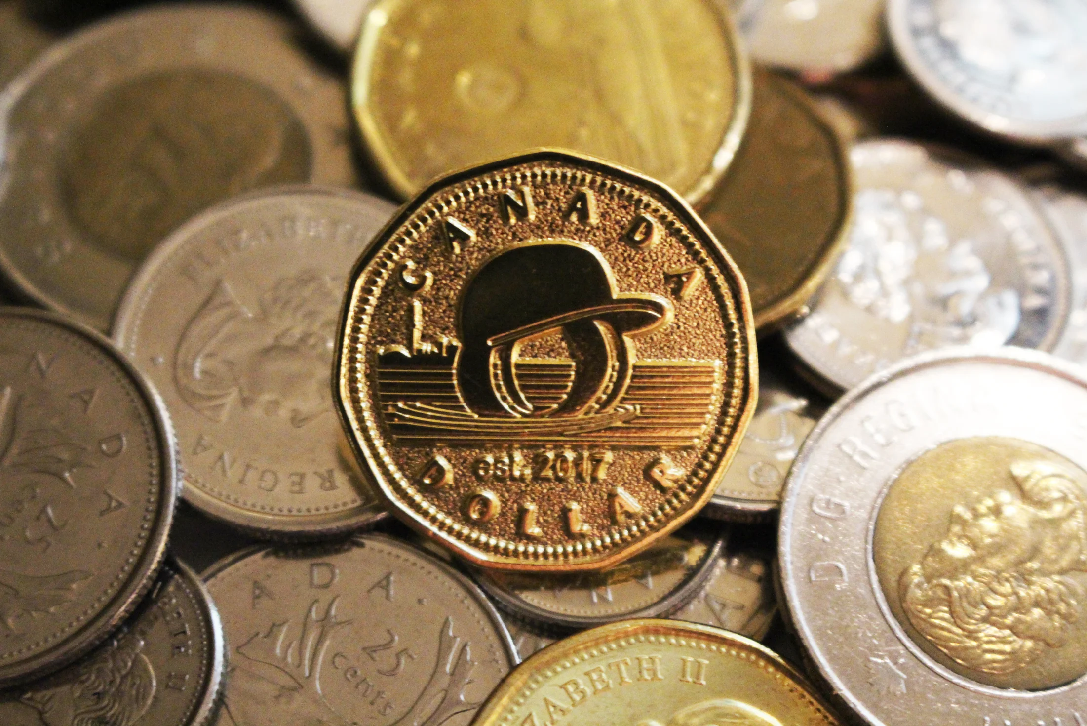 OYH Loonie.jpg