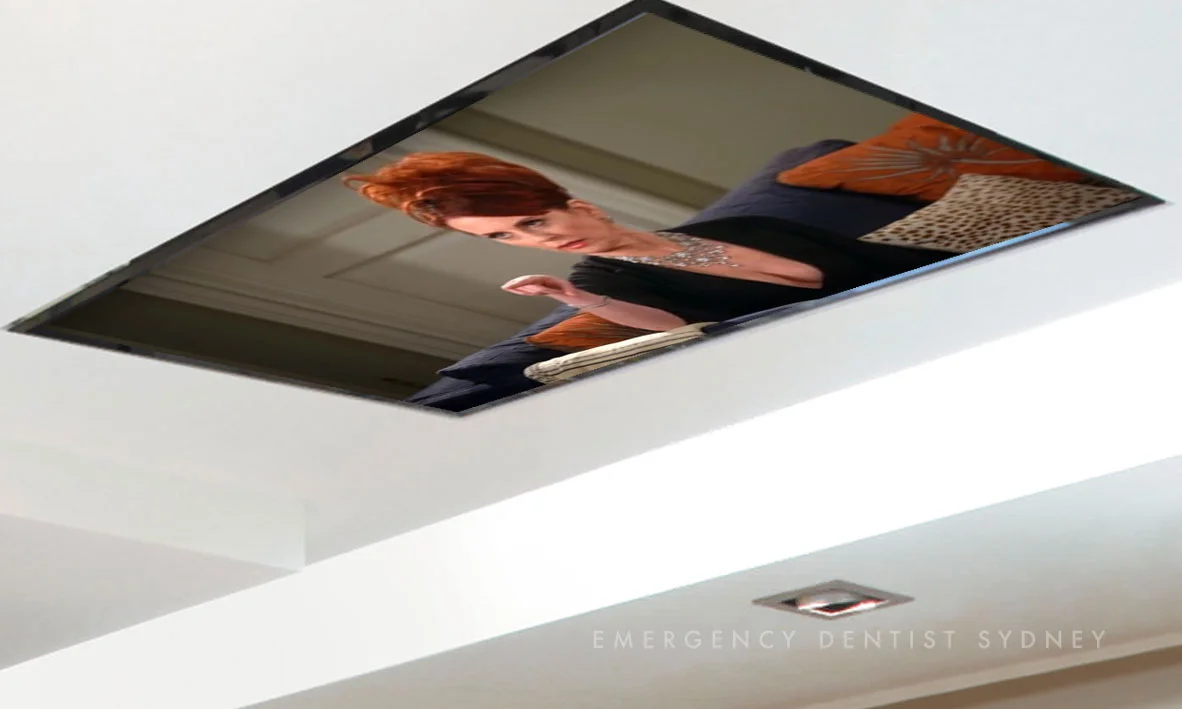 Pictured: Entertainment on the ceiling while you recline.