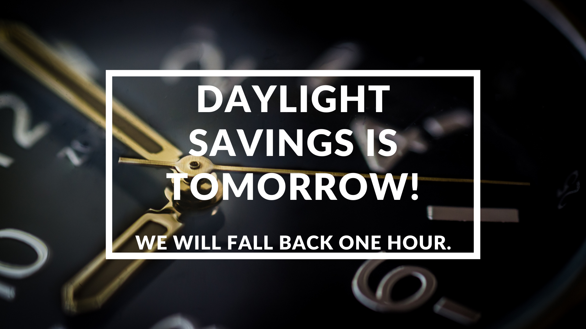 Daylight Savings