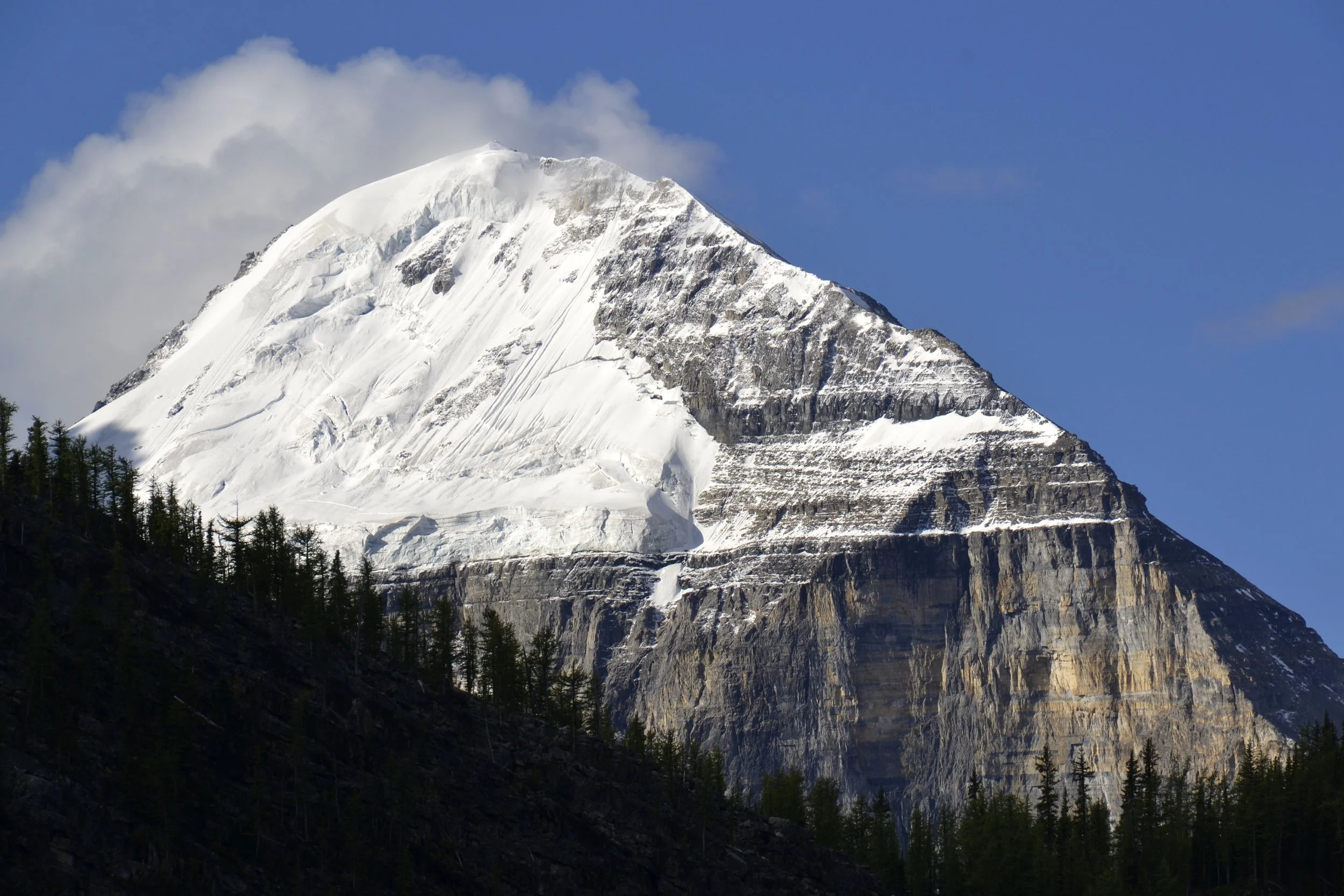 _DSC9524.JPG
