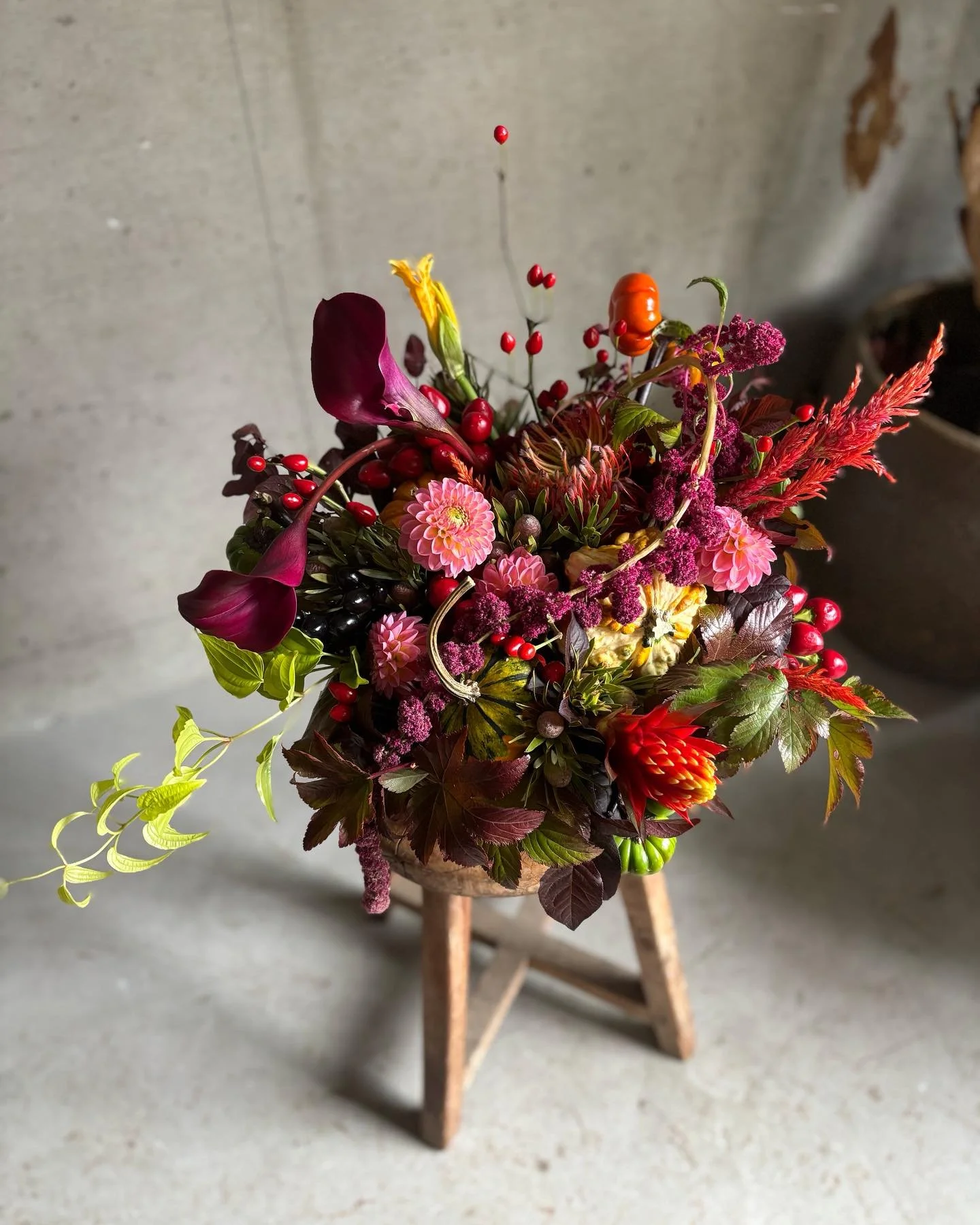 Lesson advance

今月はハロウィンをさりげなく楽しむアレンジメントを🎃
落ち着いたトーンの花合わせに、カボチャをアクセントに忍ばせて🎃実物もつかって大人な雰囲気に仕上げました。

11月のLessonはクリスマスです🎄
11/11 、11/18 10時半〜（2時間程）です！

クリスマスのLessonは単発の参加の方も募集します。
生徒さん以外の方は&yen;12100（taxin）になります。
今年はリースではありません。

🌿12月のLessonはお正月飾りです🎍早い