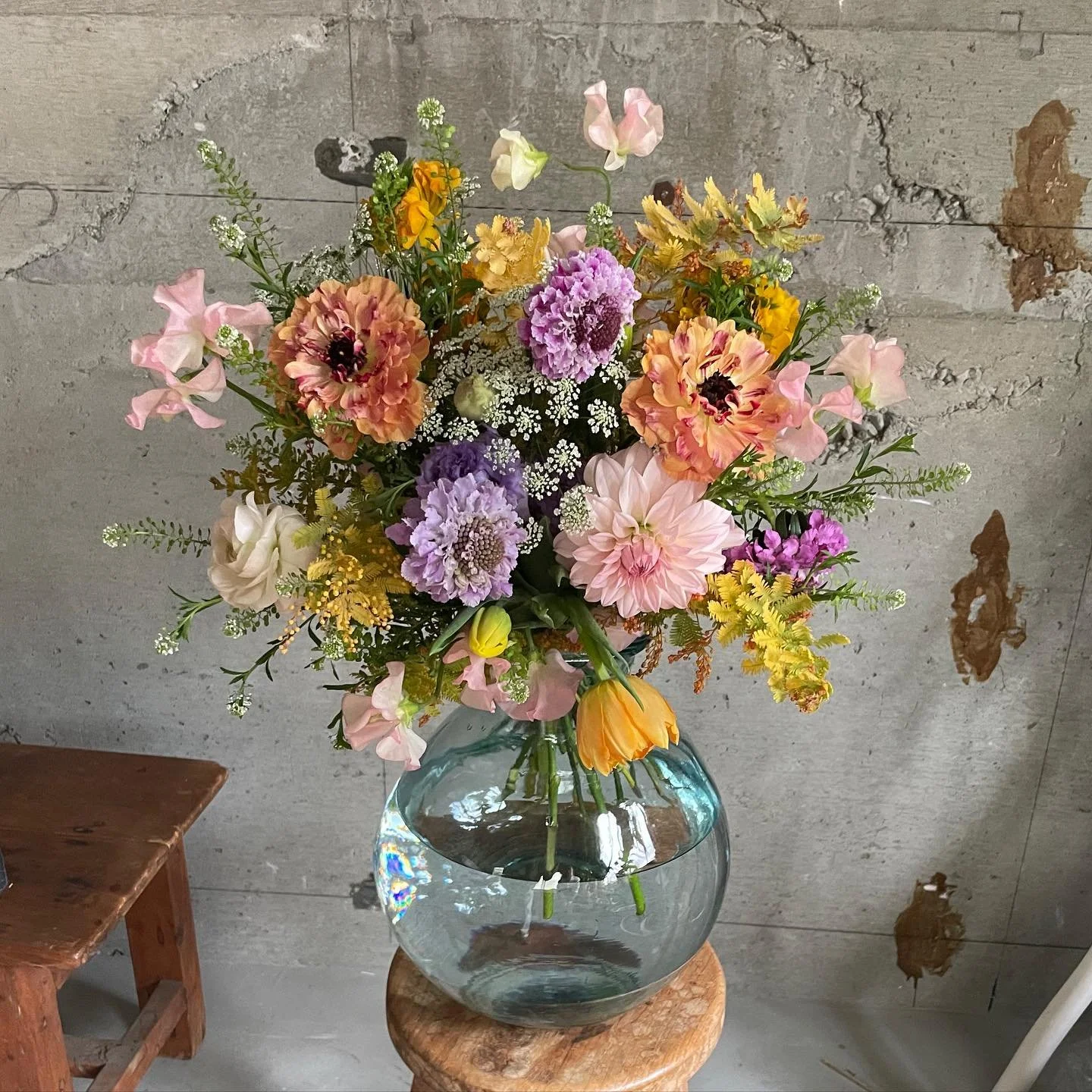 1月のLesson

1月のLessonは春のブーケを🌷
ラナンキュラスやスイトピー、スカビオサなど、春の花材は色や表情がとても可愛い反面、茎が細く柔らかいため、束ねるのが意外と難しいです。初めての方もいらっしゃっいましたが、素敵に仕上がりました。

今回は、花の向きや高低差のつけ方、春らしく軽やかにを意識して☝️

ラッピングの色で雰囲気が変わるのもおもしろいですね。

🌿2月のLessonはミモザのリースです。
 2/17、2/24（満席）各日10:30〜

3月はアレンジメントを予定し