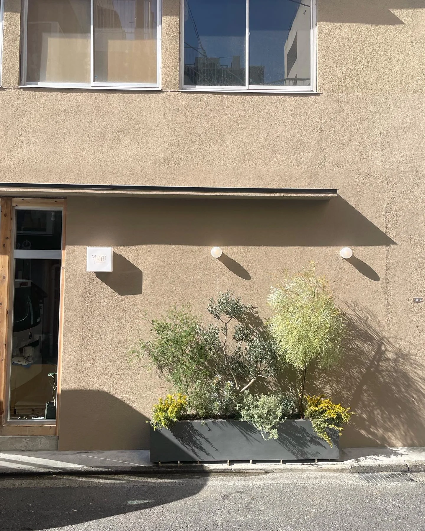 ＊
Green display
1/30オープンのbulle de savon / yuni 吉祥地店様の植栽🌳🍋

グレビリアハニーワンダー、ドーンパープル、クリームパッションなど、同じ植物でも色々な種類を組み合わせて。
それぞれの色の違いとこれからの成長を楽しんでいただけたら嬉しいです！