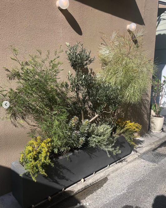 スクリーンショット 2026-01-30 13.46.31.png