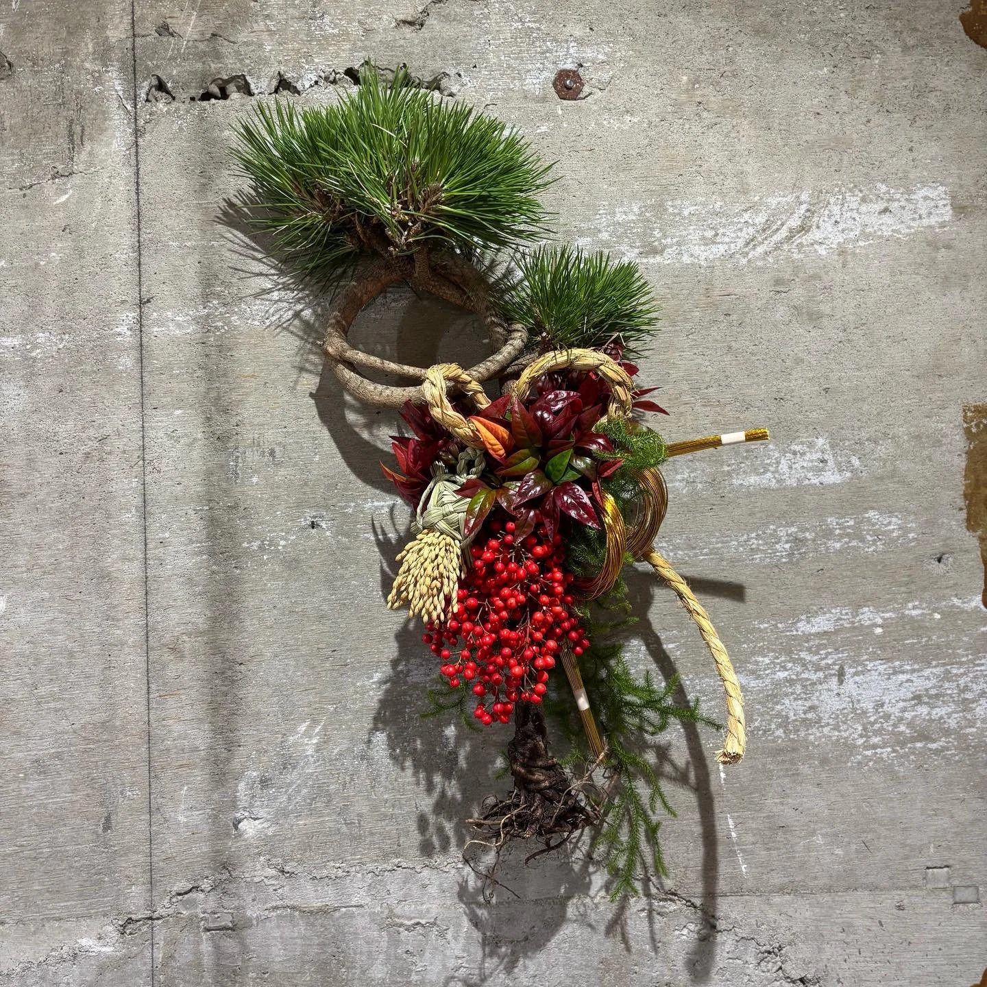 12月のLesson

昨日は、新しい年を清々しく迎えるお正月飾りを🎍

力強い根引松に南天の実や水引を合わせて、華やかさと縁起の良さを🐢

皆さん個性ありで素敵に仕上がりました🐢✨

※年内は12/30までになります。年始は営業開始は1/9になります。

🌿1月のLessonは春のブーケです。
　　1/13、1/20（満席）各日10:30〜
　　
　　2月はmimosaです、

🌱Lessonのお問合せはメール、電話にて受け付けています。

#フラワーレッスン
#フラワー教室
#フラ