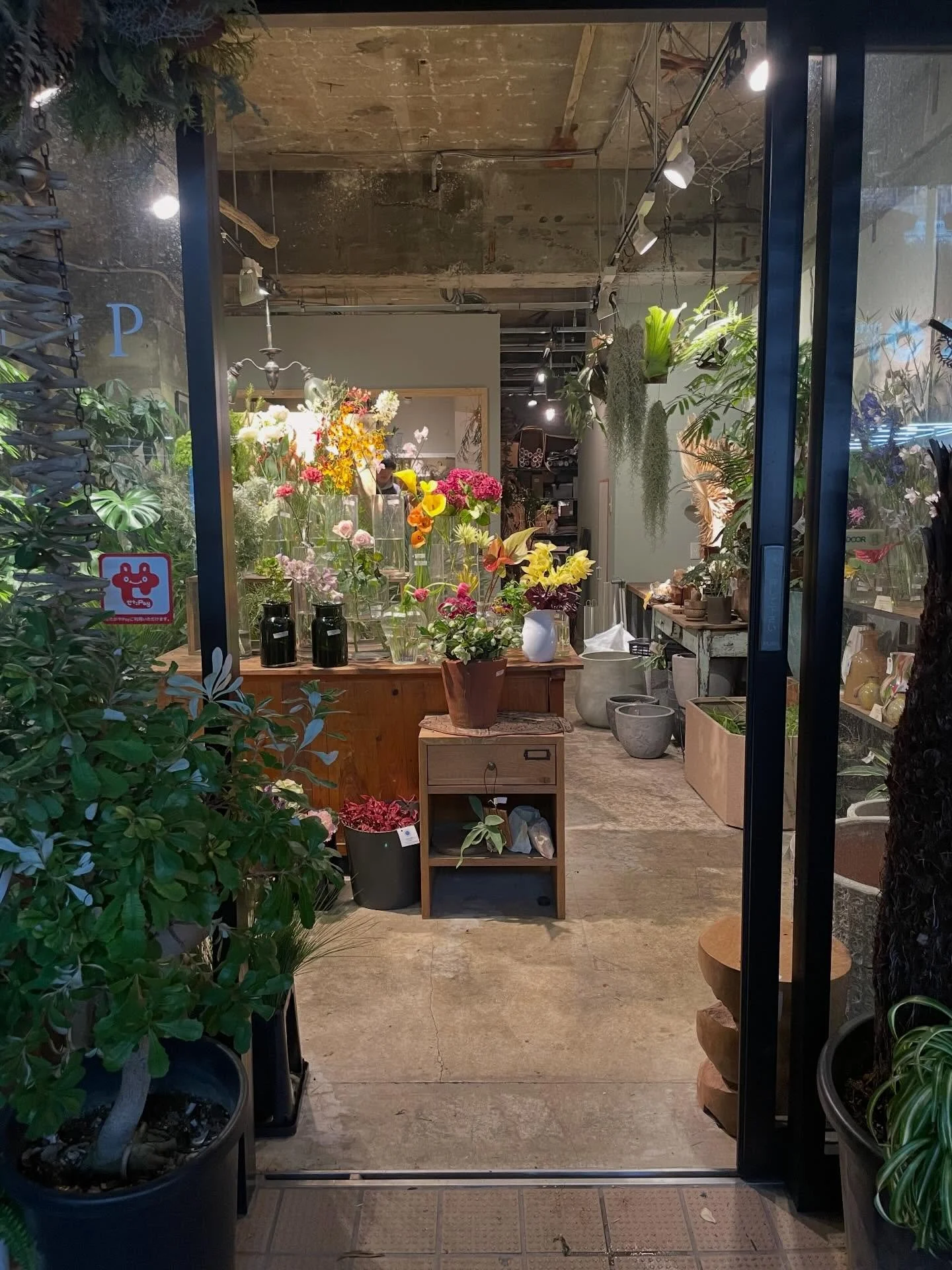 *
*
ゆく年くる年

今年も無事仕事納め
２０２５年もなんとか乗り切らせていただきました。
皆様のお力添えで今年も無事１年を乗り切らせていただきました。
年末はありがたいことに、この１年でお会いしました色々な方とお会いでき、ここ桜新町に越してきてからの積み重ねを実感します。年を重ねるとか、しみじみと思うところが増えてきますね。
来年以降、まだお会い出来てない方とこの場所で出会うことになるかと思うと楽しみです。
また今年もスタッフのみんなには感謝です。
一人では出来ない事多すぎて、働いてくれてる