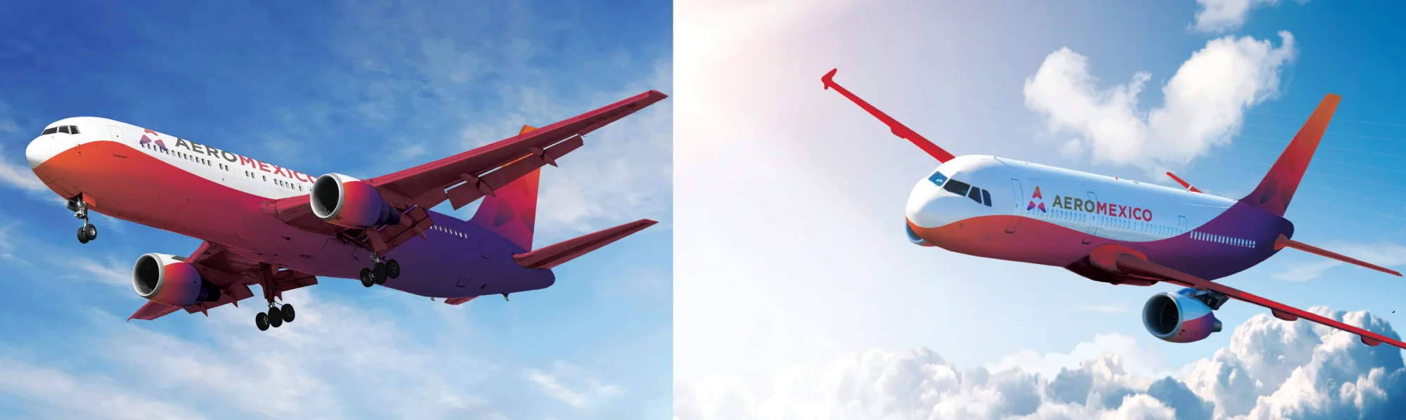 liveryMockup.jpg