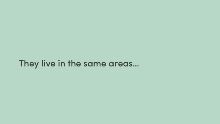 Slide11.png