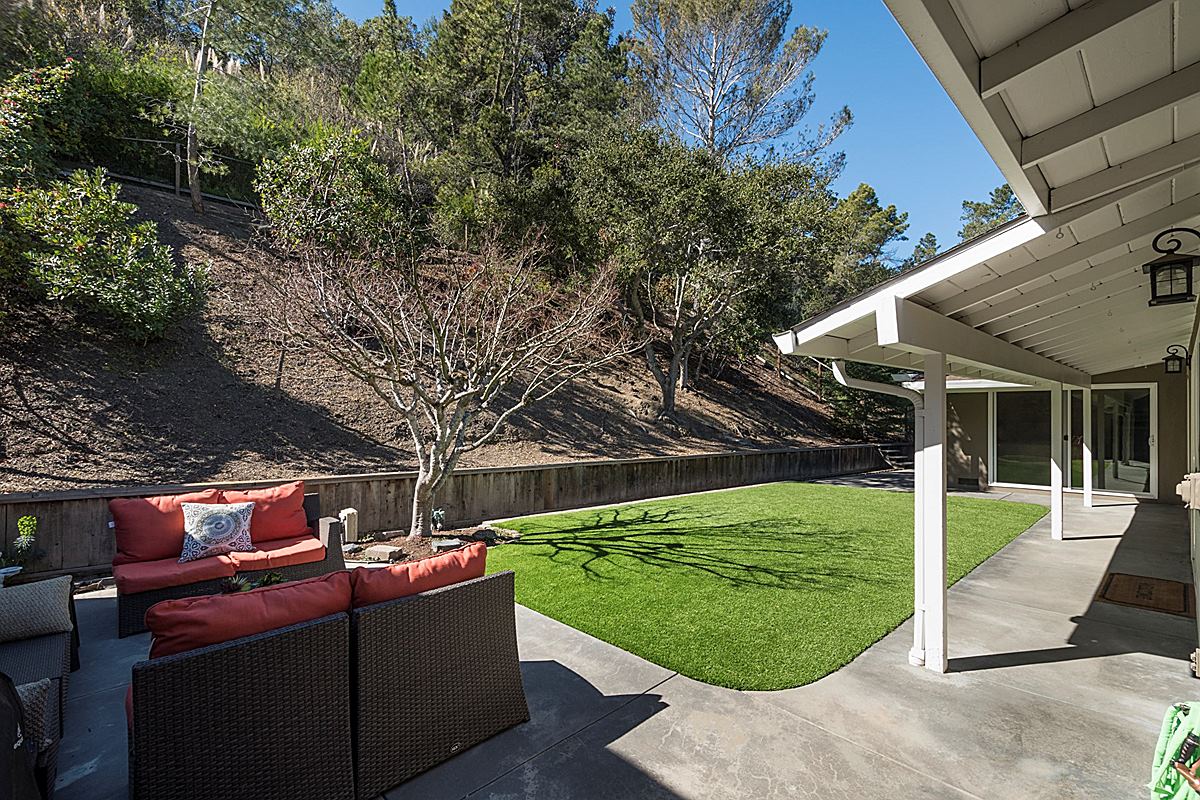 backyard1_1200.jpg