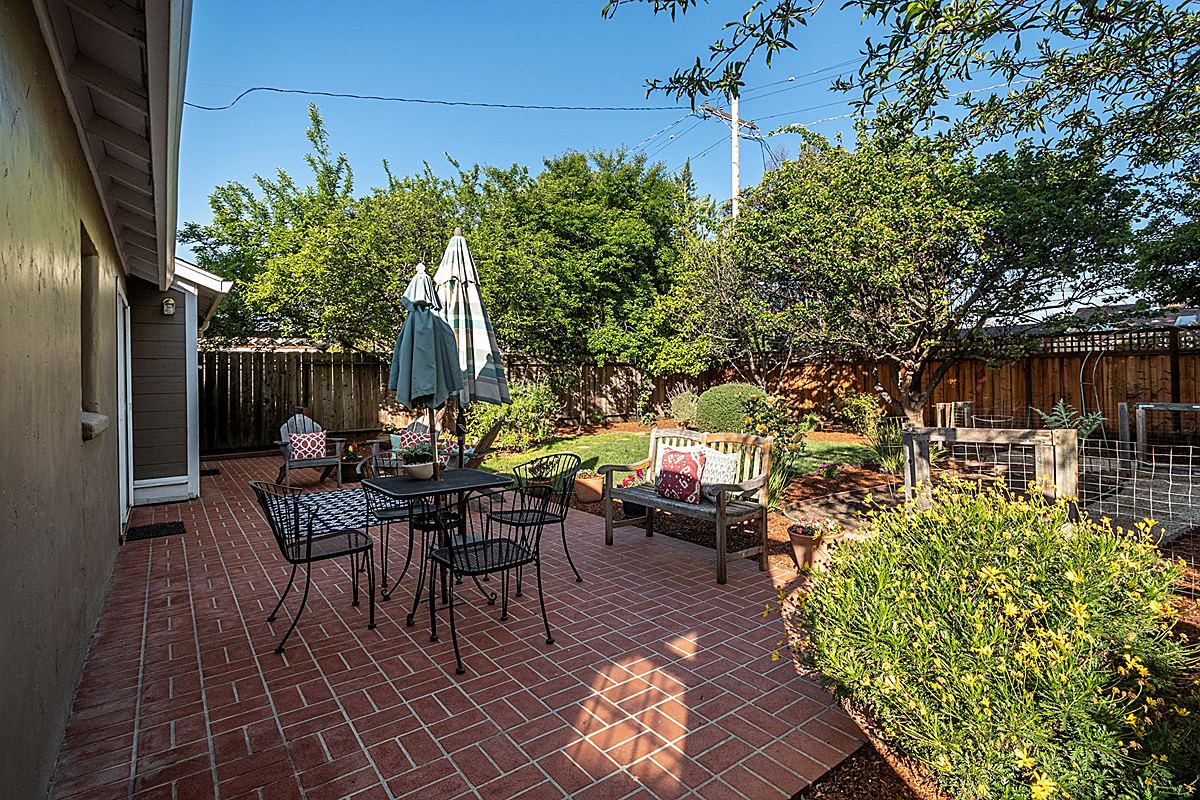 backyard_1200.jpg