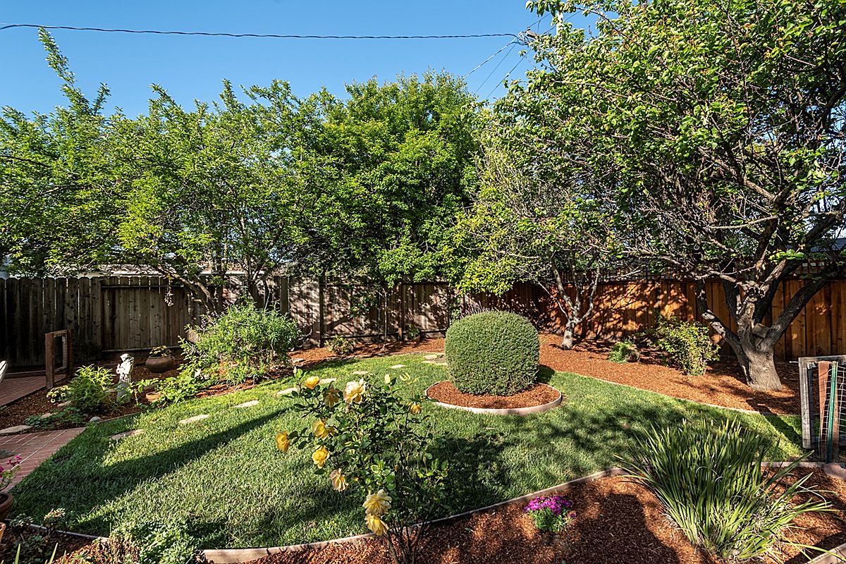 backyard2_1200.jpg