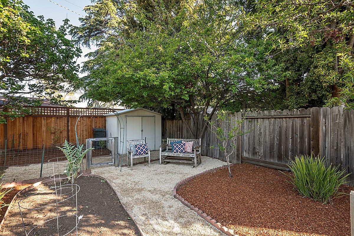 backyard3_1200.jpg